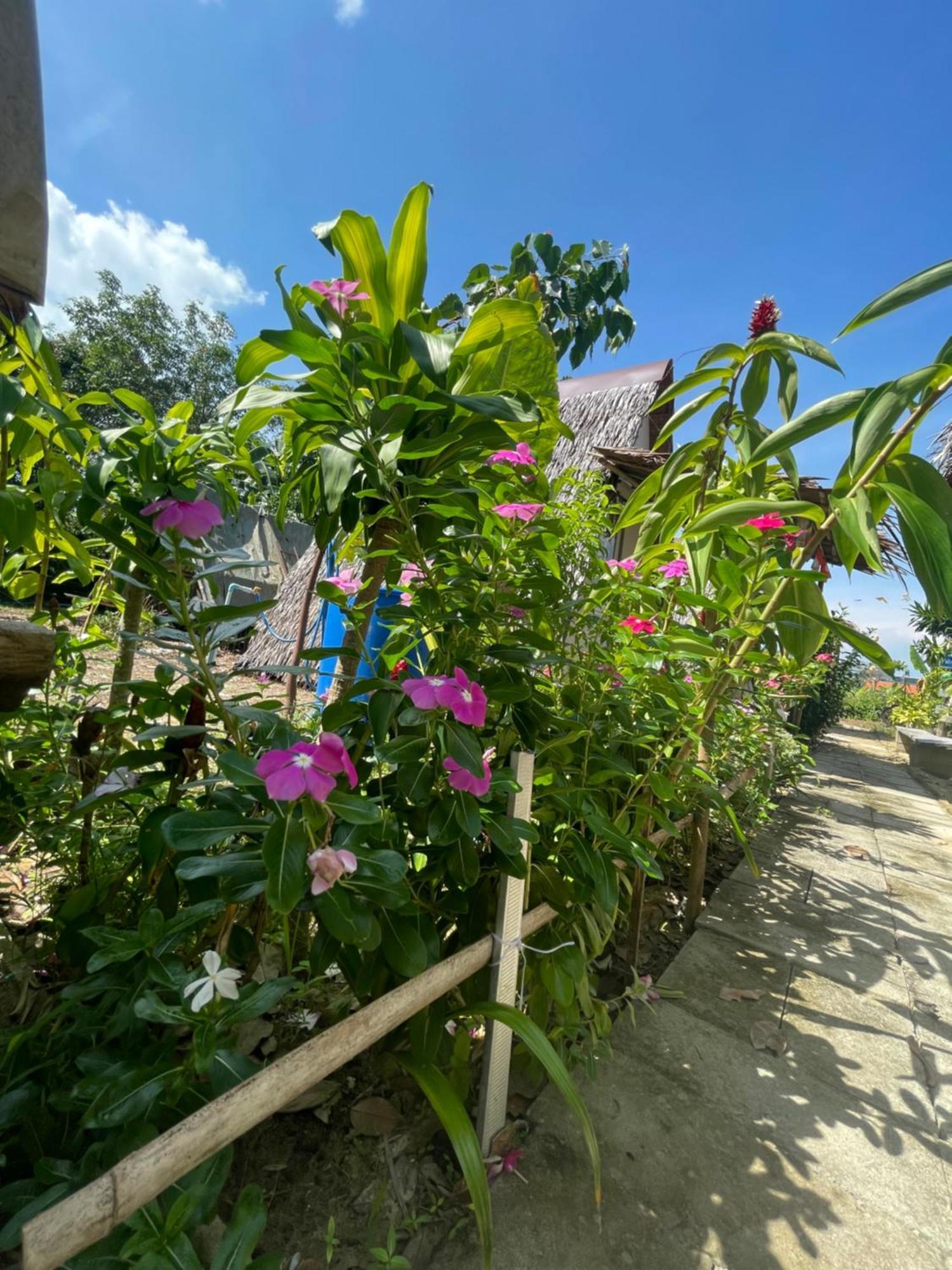Phuketairportcamping Hotell Ban Bo Sai Klang Eksteriør bilde
